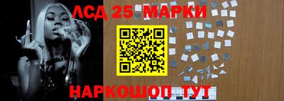 ALPHA PVP Гай