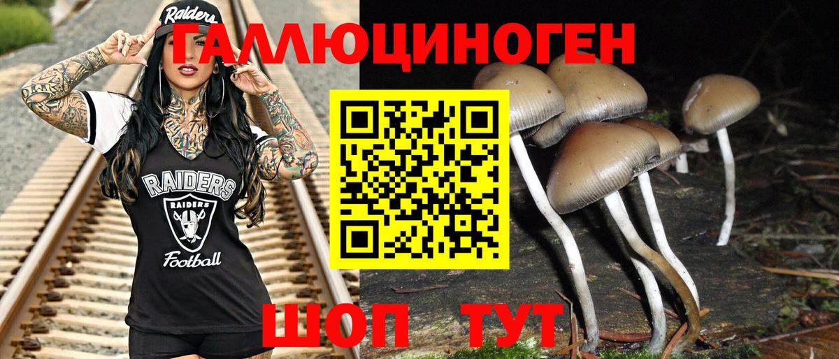 Галлюциногенные грибы прущие грибы Нальчик