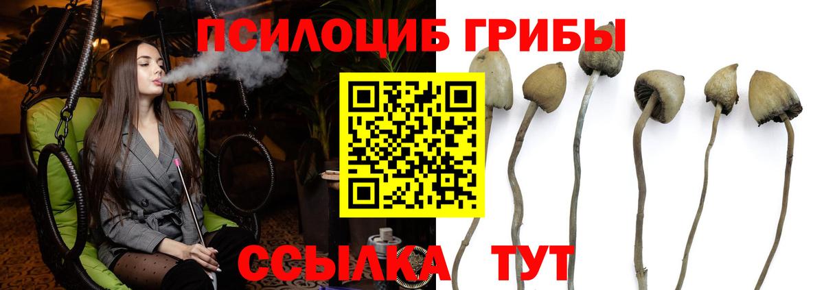купить   Вход с VPN  Нальчик  Псилоцибиновые грибы мицелий 