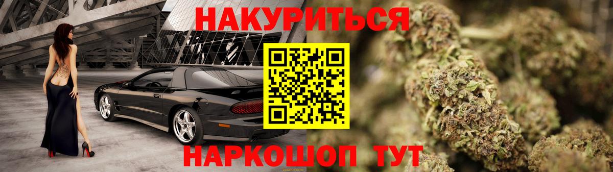 Каннабис сатива Нальчик